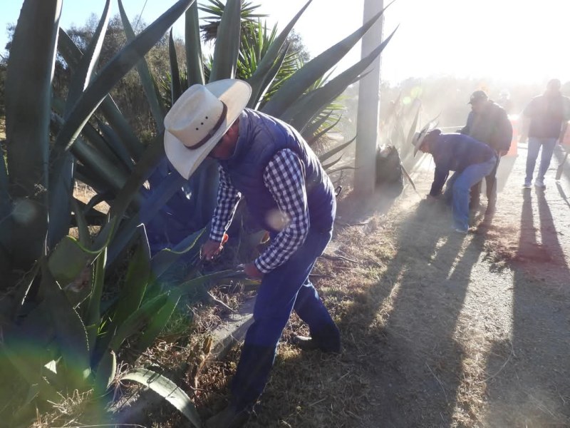 INICIA FAENA COMUNITARIA EN YAUHQUEMEHCAN EN COORDINACION CON&nbsp;SEPE-USET