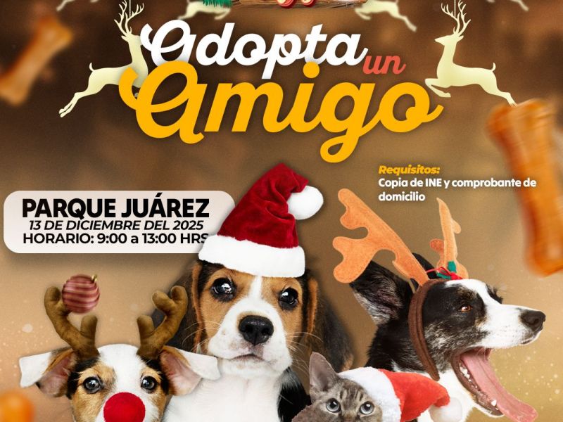 INVITAN A SUMARSE A LA JORNADA DE ADOPCIÓN «ADOPTA A UN AMIGO» EN&nbsp;HUAMANTLA