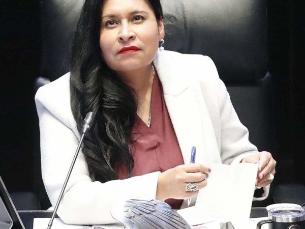 NECESARIO FORTALECER LA ATENCIÓN A LA SALUD MENTAL DE JÓVENES RECONOCE ANA LILIA&nbsp;RIVERA