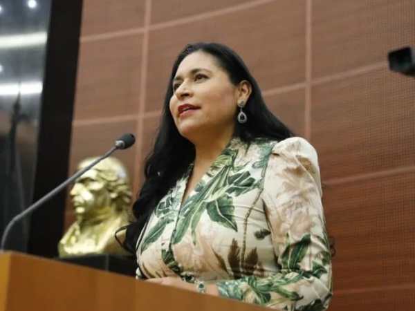 SATISFACCIÓN POR BALANCE POSITIVO DURANTE EL ÚLTIMO AÑO EN EL SENADO: ANA LILIA&nbsp;RIVERA