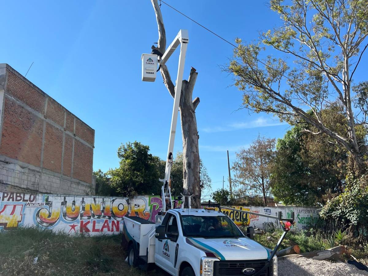 GOBIERNO MUNICIPAL DE TLAXCALA RETIRA ÁRBOLES EN RIESGO EN LOMA XICOHTÉNCATL PARA PREVENIR&nbsp;ACCIDENTES
