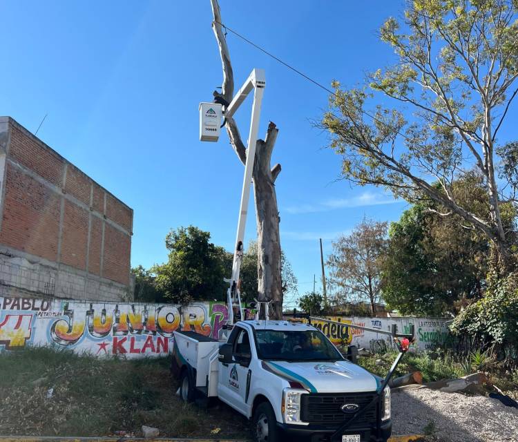GOBIERNO MUNICIPAL DE TLAXCALA RETIRA ÁRBOLES EN RIESGO EN LOMA XICOHTÉNCATL PARA PREVENIR&nbsp;ACCIDENTES