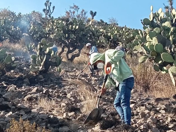 SE ATIENDE INCENDIO EN CERRO DE&nbsp;HUAYTEPEC