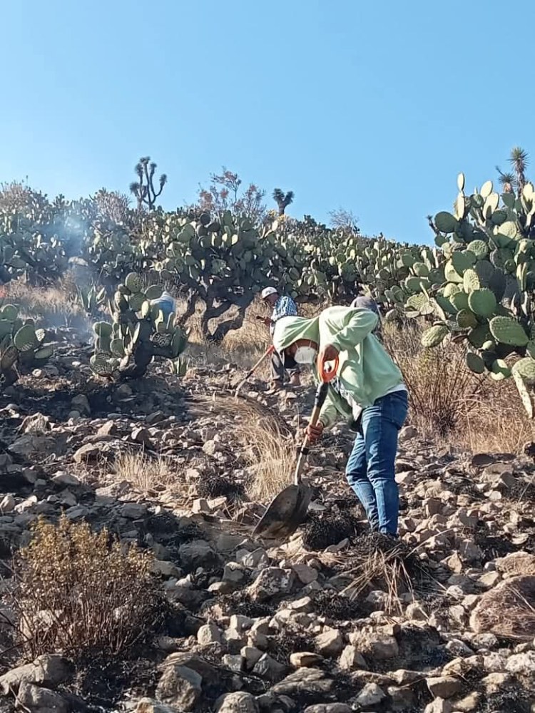SE ATIENDE INCENDIO EN CERRO DE&nbsp;HUAYTEPEC