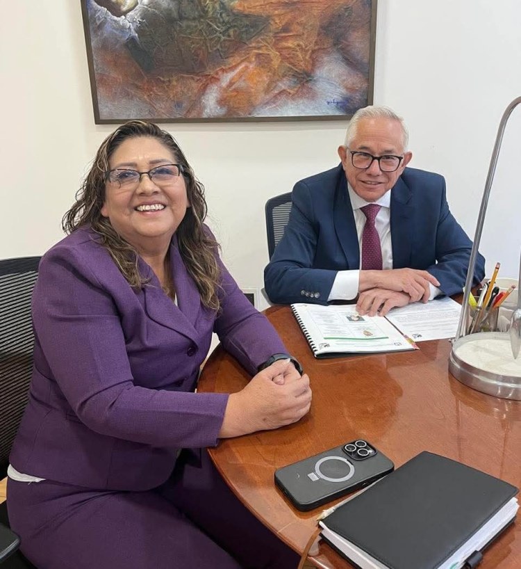 ALCALDESA DE TEQUEXQUITLA SE REÚNE CON SECRETARIO DEL IMSS JORGE&nbsp;GAVIÑO