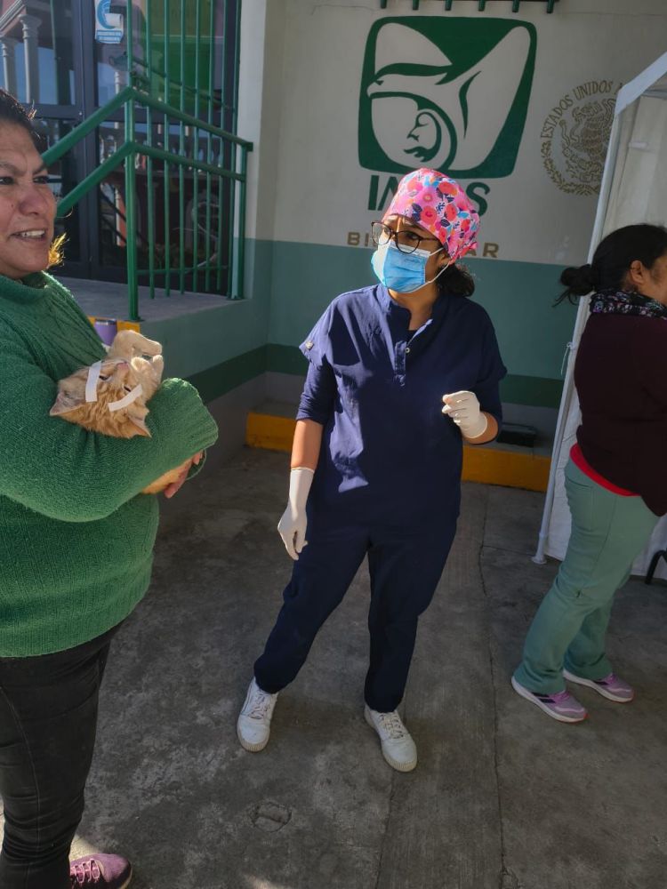 🦮🐈CONCLUYE CON EXITO LA.JORNADA DE ESTERILIZACION EN CHAPULTEPEC, E INVITAN A PROXIMAS JORNADAS DE HUAMANTLA&nbsp;🦮🐈