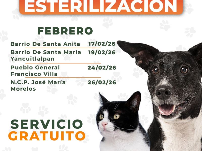 GOBIERNO MUNICIPAL DE HUAMANTLA FORTALECE EL BIENESTAR ANIMAL CON JORNADAS DE&nbsp;ESTERILIZACIÓN
