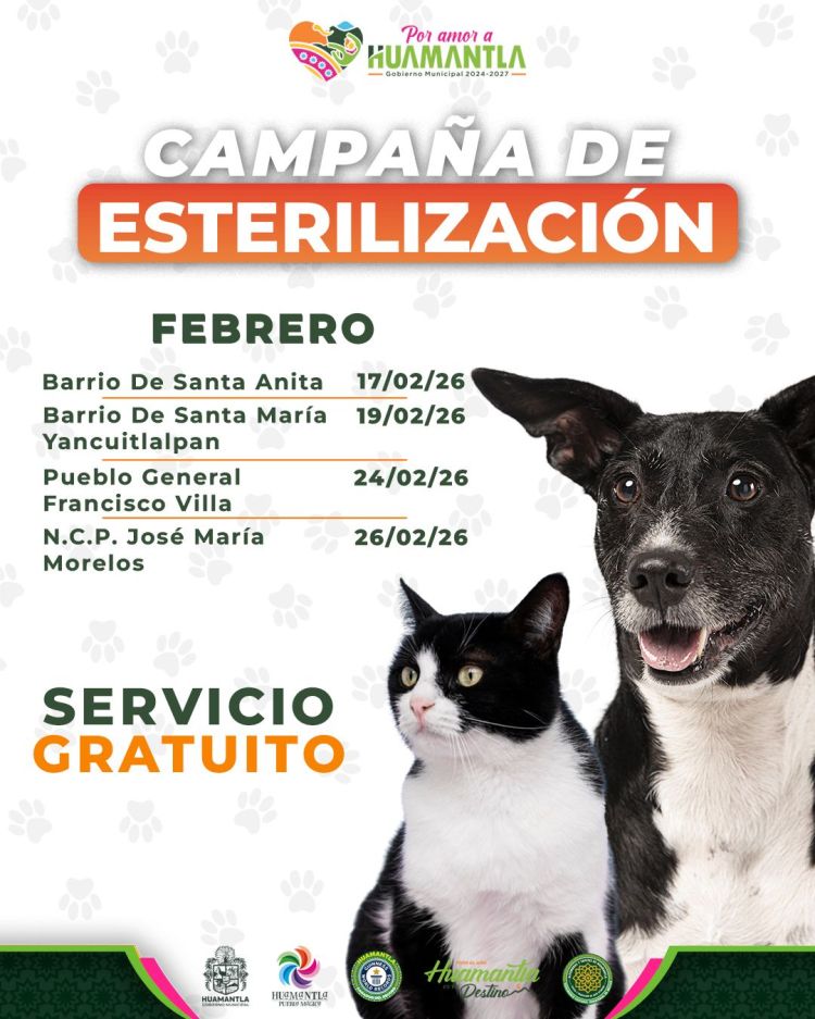 GOBIERNO MUNICIPAL DE HUAMANTLA FORTALECE EL BIENESTAR ANIMAL CON JORNADAS DE&nbsp;ESTERILIZACIÓN