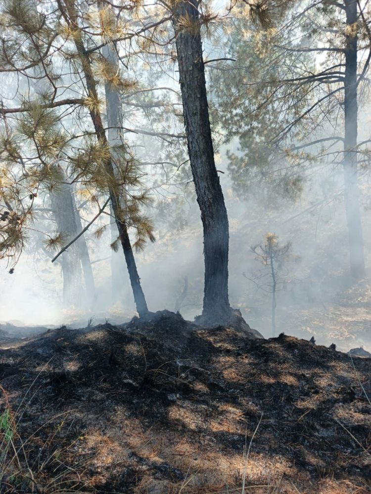 PROTECCIÓN CIVIL DE HUAMANTLA ATIENDE INCENDIO EN PARAJE SAN&nbsp;BARTOLO