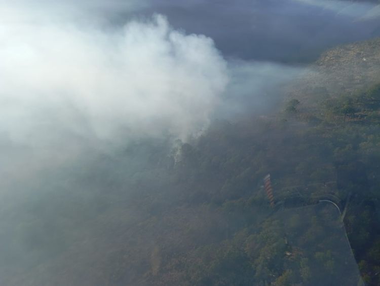 INCENDIO FORESTAL EN ORIENTAL REGISTRA 90% DE CONTROL y 60% DE&nbsp;LIQUIDACIÓN