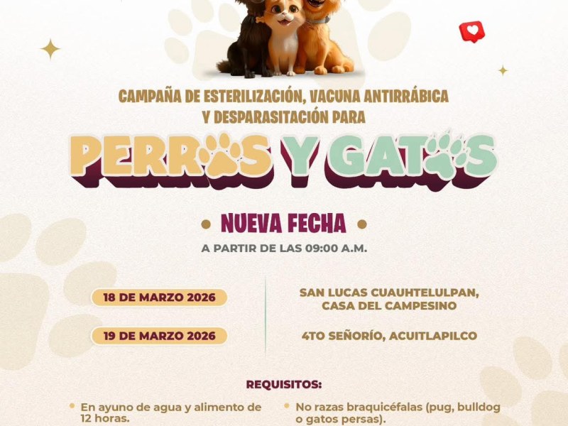 CAMPAÑA DE ESTERILIZACIÓN DE PERROS Y GATOS EN&nbsp;TLAXCALA