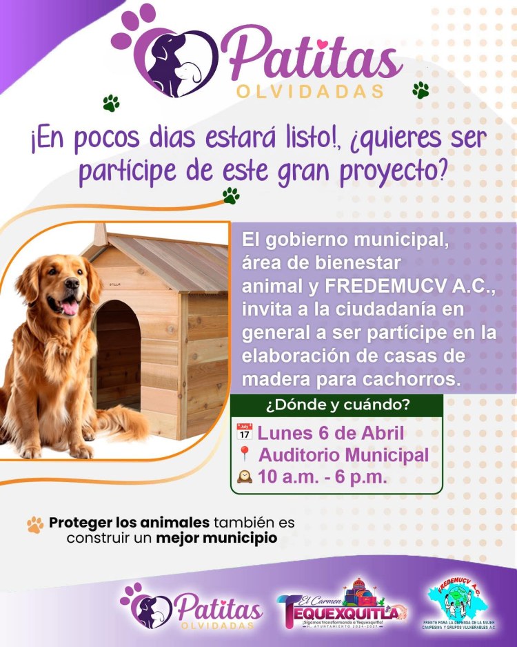 PATITAS OLVIDADAS UN PROYECTO QUE NACE DEL&nbsp;CORAZÓN
