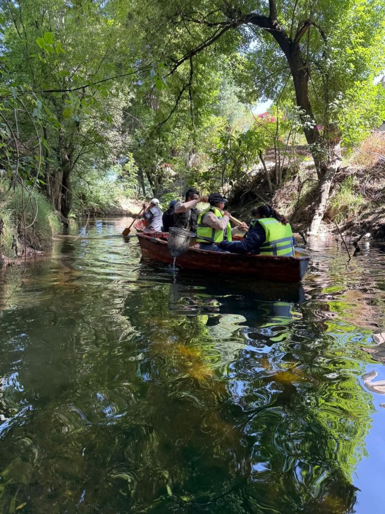 LIMPIEZA EN LA PRESA DE LOS REYES&nbsp;QUIAHUIXTLAN
