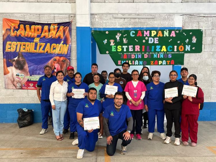 REALIZAN 119 ESTERILIZACIONES EN COMUNIDAD XICOHTENCATL EN&nbsp;HUAMANTLA