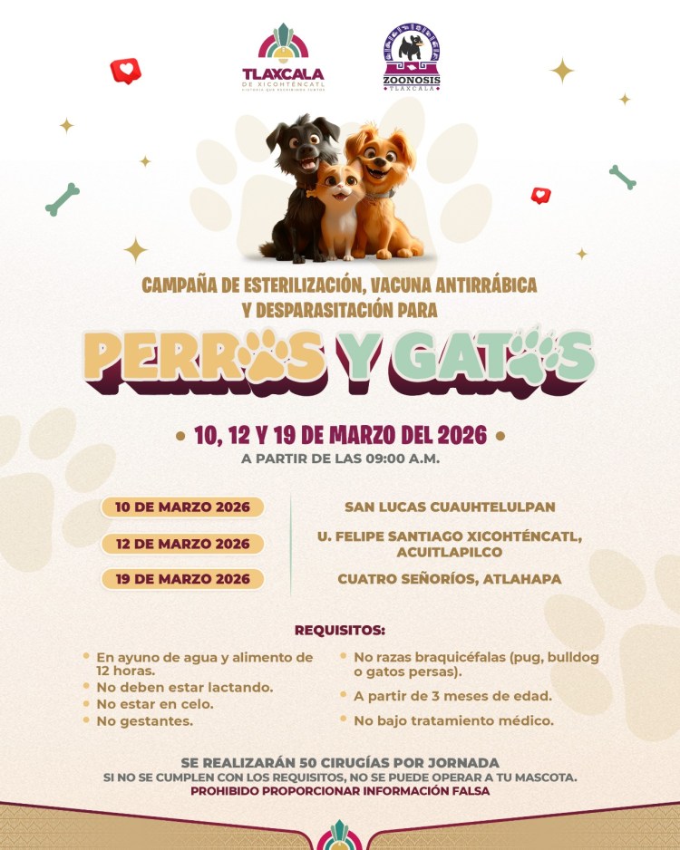 AYUNTAMIENTO DE TLAXCALA REALIZARÁ NUEVA ETAPA DE ESTERILIZACIÓN, VACUNACIÓN Y DESPARACITACIÓN CANINA Y&nbsp;FELINA