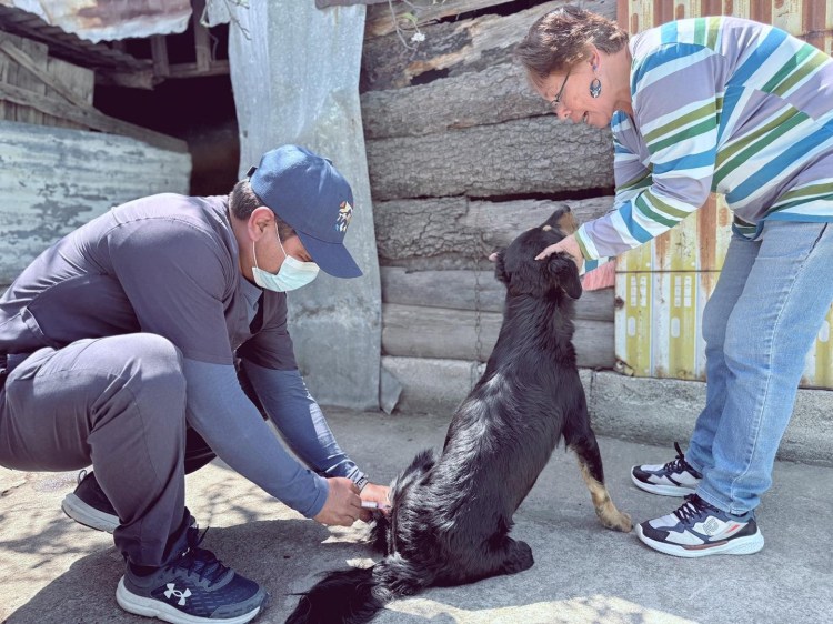 COORDINACIÓN DE BIENESTAR ANIMAL BRINDA MÁS DE 4 MIL SERVICIOS&nbsp;VETERINARIOS