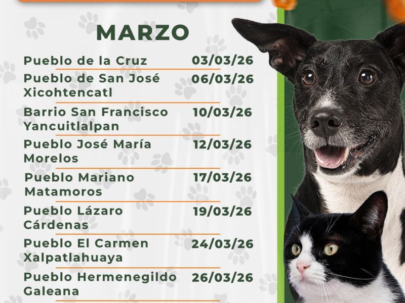 🐩🐕🐈GOBIERNO MUNICIPAL DE #HUAMANTLA CONTINÚA CAMPAÑA DE ESTERILIZACIÓN DE PERROS Y GATOS EN&nbsp;COMUNIDADES🐩🐕🐈