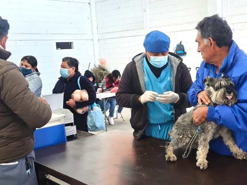 EN ACCIÓN COORDINADA AYUNTAMIENTO DE TLAXCALA Y LA SESA PONDRÁN EN MARCHA LA CAMPAÑA NACIONAL DE VACUNACIÓN ANTIRRÁBICA CANINA Y&nbsp;FELINA