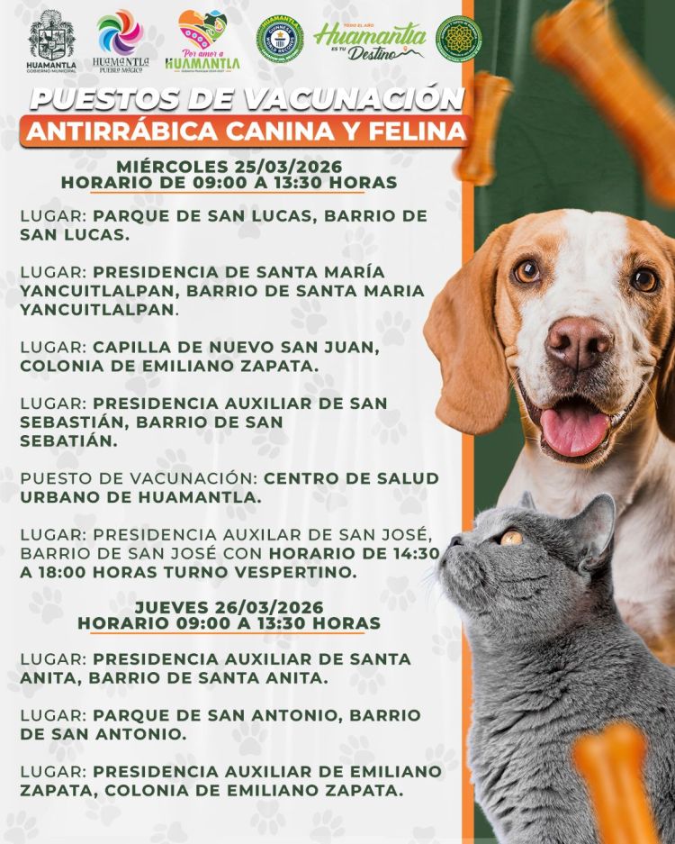 🐈🐕🐩TENDRÁ HUAMANTLA JORNADA DE VACUNACIÓN ANTIRRÁBICA CANINA Y&nbsp;FELINA🐈🐕🐩