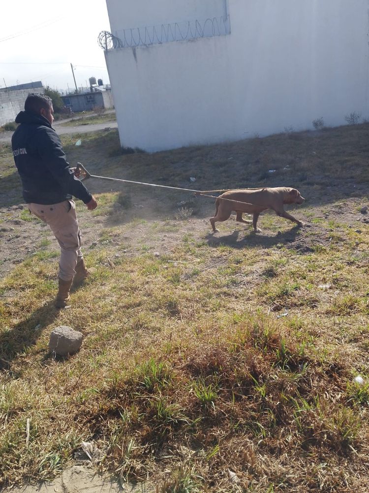 RESCATAN A CAMINO ATRAPADO EN HUAMANTLA: LLAMAN A LA TENENCIA&nbsp;RESPONSABLE