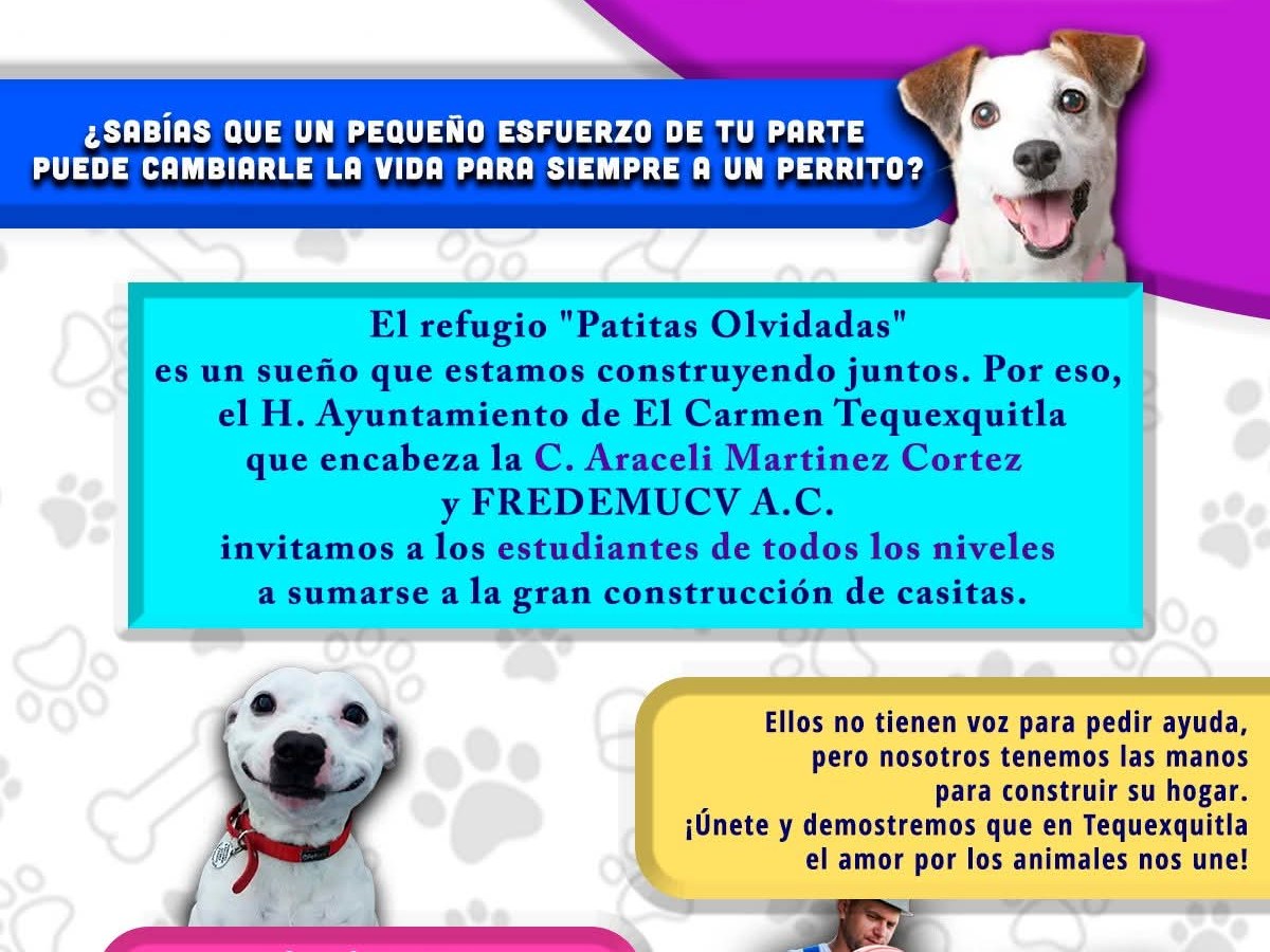 🐾✨ EN TEQUEXQUITLA ¡MANOS A LA OBRA POR QUIENES NO TIENEN VOZ!&nbsp;✨🐾