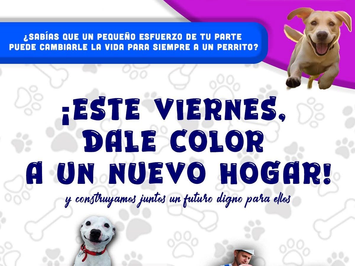 UN PEQUEÑO GESTO PUEDE CAMBIARLO&nbsp;TODO