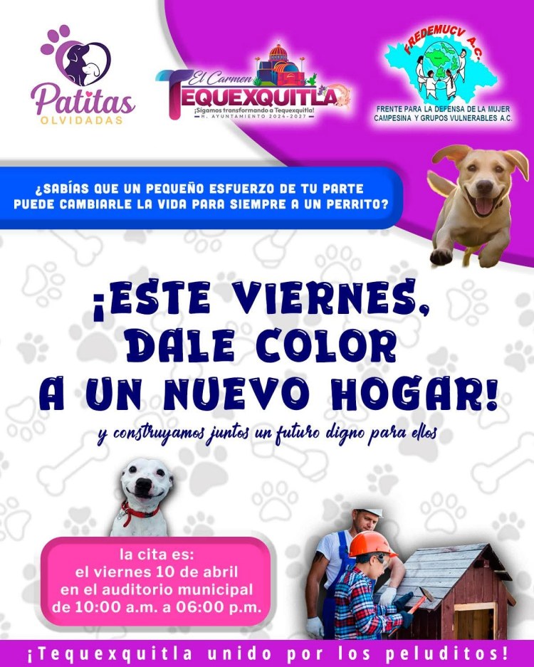 UN PEQUEÑO GESTO PUEDE CAMBIARLO&nbsp;TODO