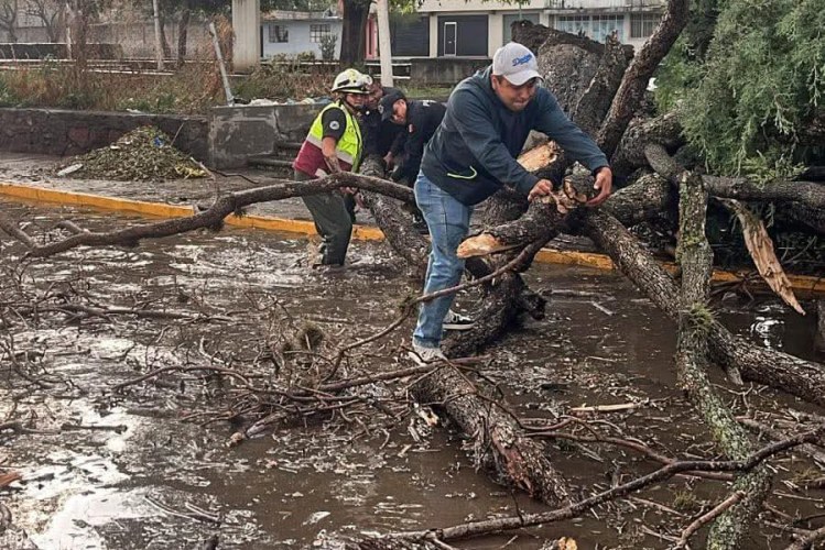 BRIGADAS DE «MÁS TERRITORIO Y MENOS ESCRITORIO» RESPONDEN ANTE NUEVA PRECIPITACIÓN PLUVIAL Y REPORTAN MÍNIMAS AFECTACIONES EN LA&nbsp;CAPITAL