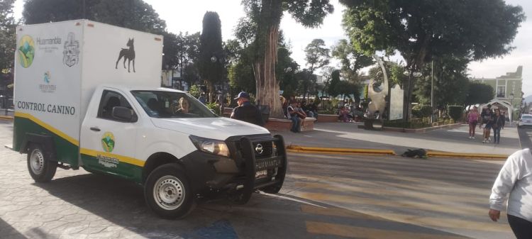 LA CLÍNICA BIOFÍLICA DE HUAMANTLA&nbsp;INFORMA