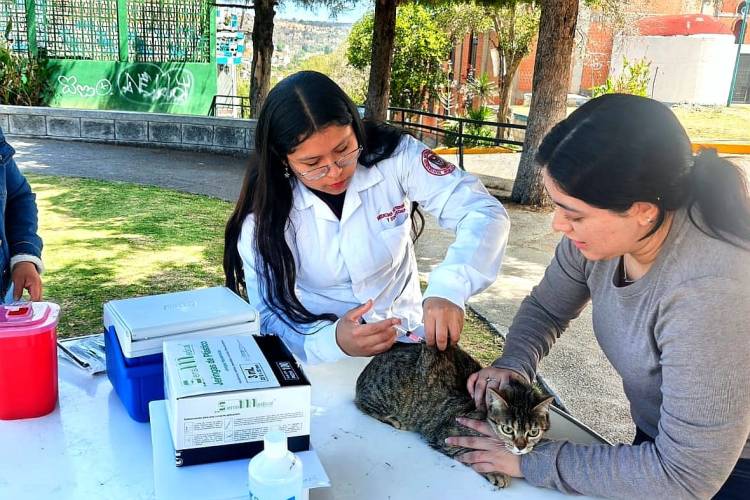 AYUNTAMIENTO DE TLAXCALA DARÁ CONTINUIDAD A CAMPAÑA ANTIRRÁBICA PARA MASCOTAS QUE NO FUERON VACUNADAS EN&nbsp;MARZO