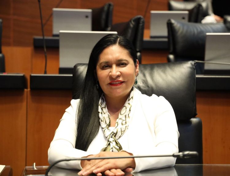 COOPERACIÓN CON EUA SI PERO SIN VULNERAR LA SOBERANÍA DE MÉXICO: ANA LILIA&nbsp;RIVERA