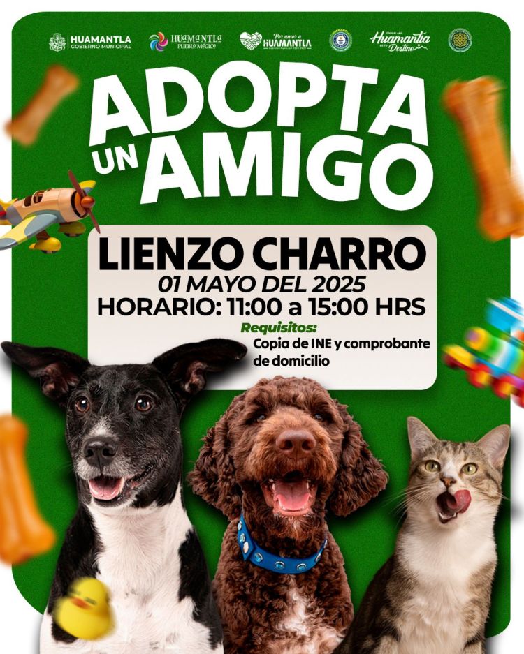 HUAMANTLA PROMUEVE LA ADOPCIÓN RESPONSABLE CON JORNADA “ADOPTA UN&nbsp;AMIGO”