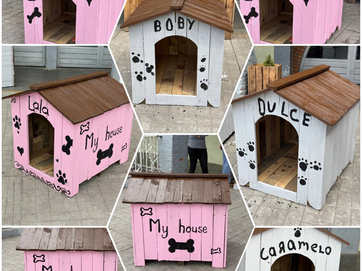 🐕🐩🐾LISTAS LAS CASITAS DEL REFUGIO «PATITAS OLVIDADAS EN #TEQUEXQUITLA🐕🐩🐾