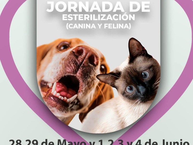 GOBIERNO TEQUEXQUITLA INVITA A LA CAMPAÑA DE ESTERILIZACIÓN CANINA Y&nbsp;FELINA