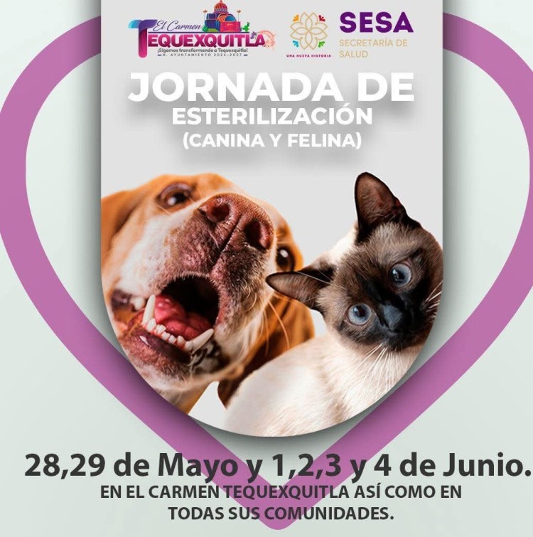 GOBIERNO TEQUEXQUITLA INVITA A LA CAMPAÑA DE ESTERILIZACIÓN CANINA Y&nbsp;FELINA