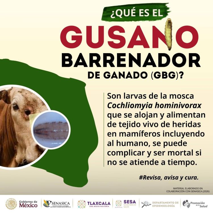 HUAMANTLA SE SUMA A CAMPAÑA DE PREVENCIÓN CONTRA EL GUSANO&nbsp;BARRENADOR