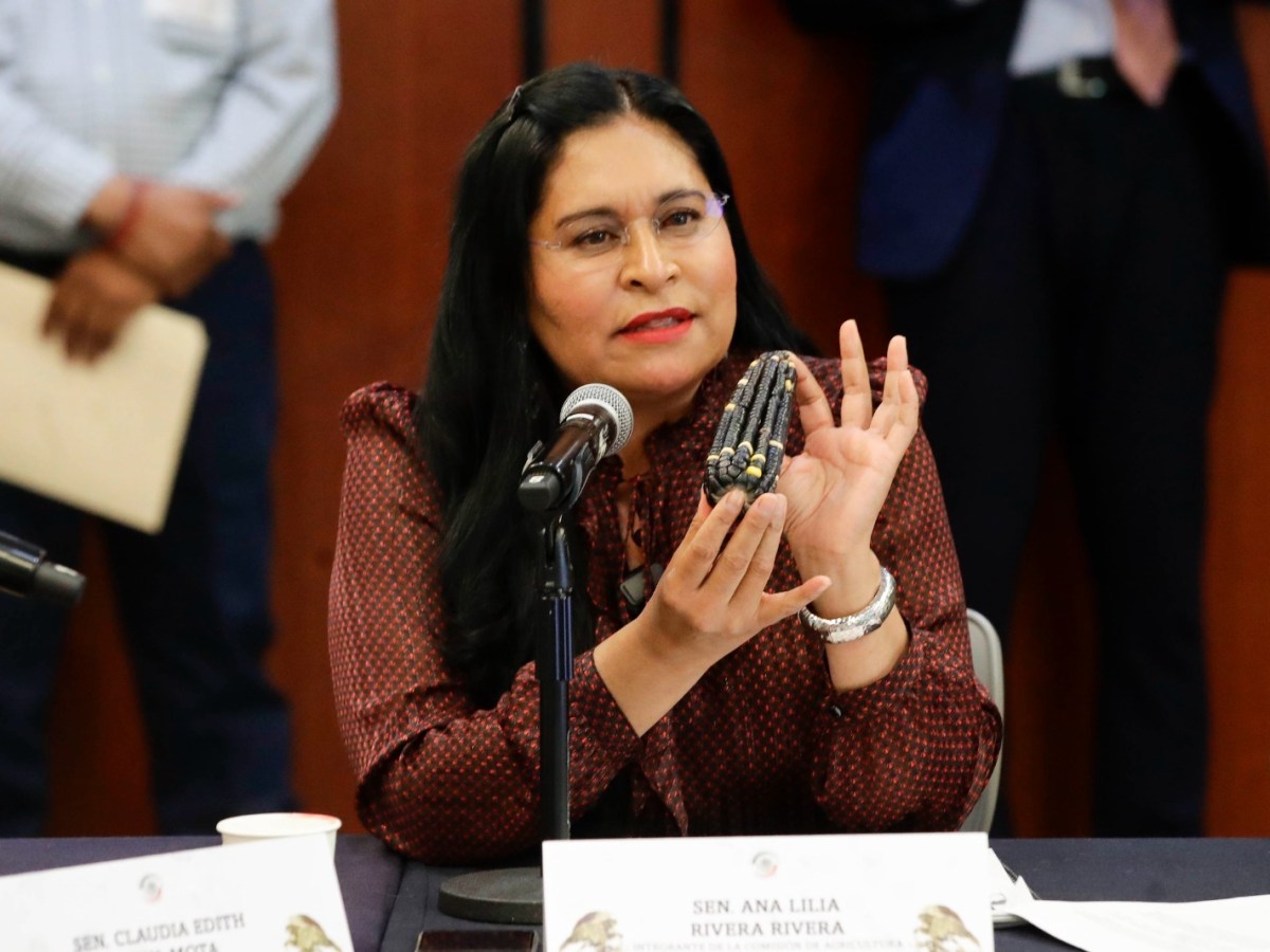 ACUERDO NACIONAL POR EL MAÍZ FORTALECE LA SOBERANÍA ALIMENTARIA: ANA LILIA&nbsp;RIVERA