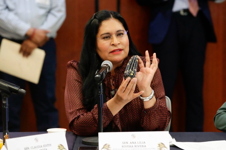 ACUERDO NACIONAL POR EL MAÍZ FORTALECE LA SOBERANÍA ALIMENTARIA: ANA LILIA&nbsp;RIVERA