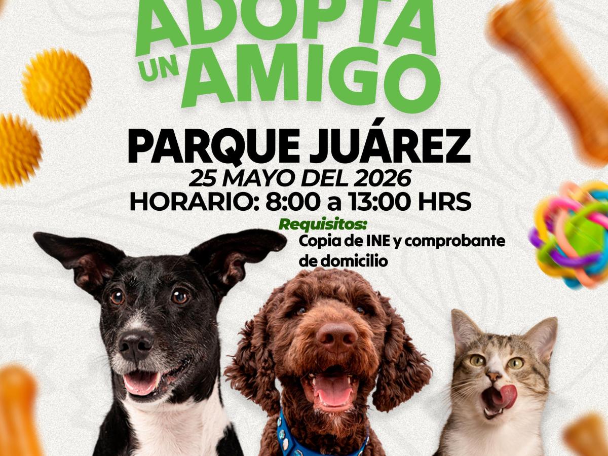 “ADOPTA UN AMIGO”: INVITAN A JORNADA DE ADOPCIÓN DE PERRITOS Y GATITOS EN&nbsp;HUAMANTLA