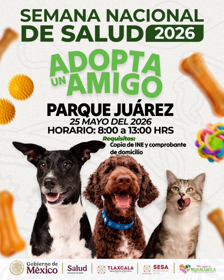 “ADOPTA UN AMIGO”: INVITAN A JORNADA DE ADOPCIÓN DE PERRITOS Y GATITOS EN&nbsp;HUAMANTLA
