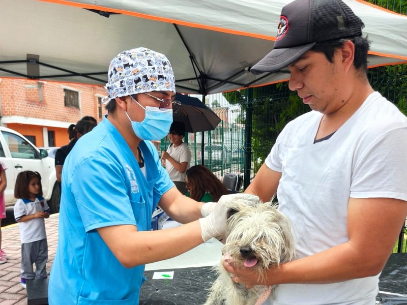 GOBIERNO DE ALFONSO SÁNCHEZ GARCÍA FORTALECE EL BIENESTAR ANIMAL CON JORNADA DE ATENCIÓN A MASCOTAS EN LA LOMA&nbsp;XICOHTÉNCATL