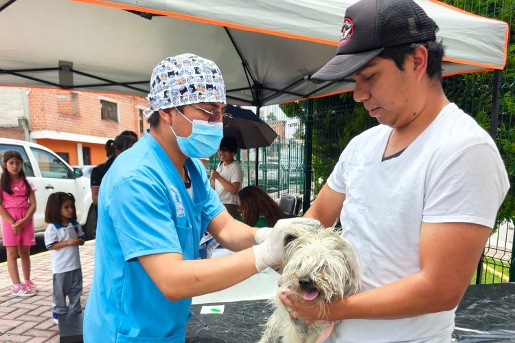 GOBIERNO DE ALFONSO SÁNCHEZ GARCÍA FORTALECE EL BIENESTAR ANIMAL CON JORNADA DE ATENCIÓN A MASCOTAS EN LA LOMA&nbsp;XICOHTÉNCATL
