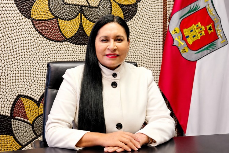 IMPULSA ANA LILIA RIVERA MAYOR PROTECCIÓN JURÍDICA DEL PATRIMONIO CULTURAL DE LOS PUEBLOS&nbsp;ORIGINARIOS