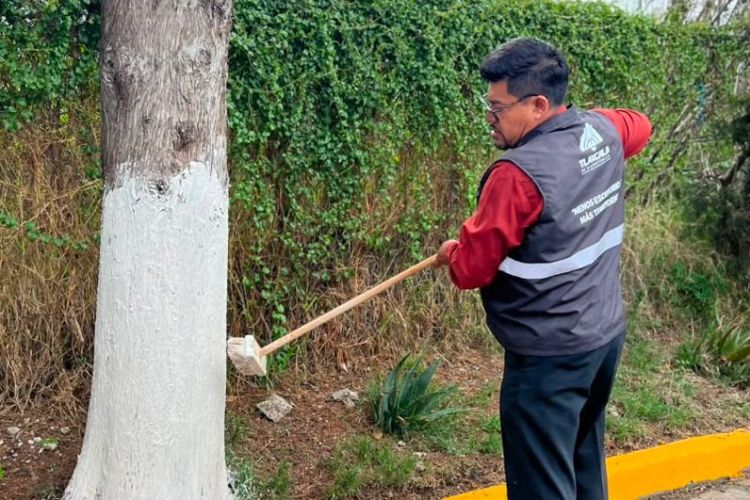CUIDAR NUESTROS ESPACIOS TAMBIÉN ES PROTEGER NUESTRO&nbsp;ENTORNO