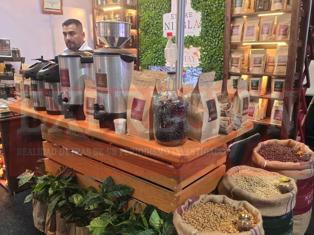 ☕CONCAFÉ 2026 «#PUEBLA SE CONVIERTE EN LA CAPITAL DEL CAFÉ&nbsp;MEXICANO»☕