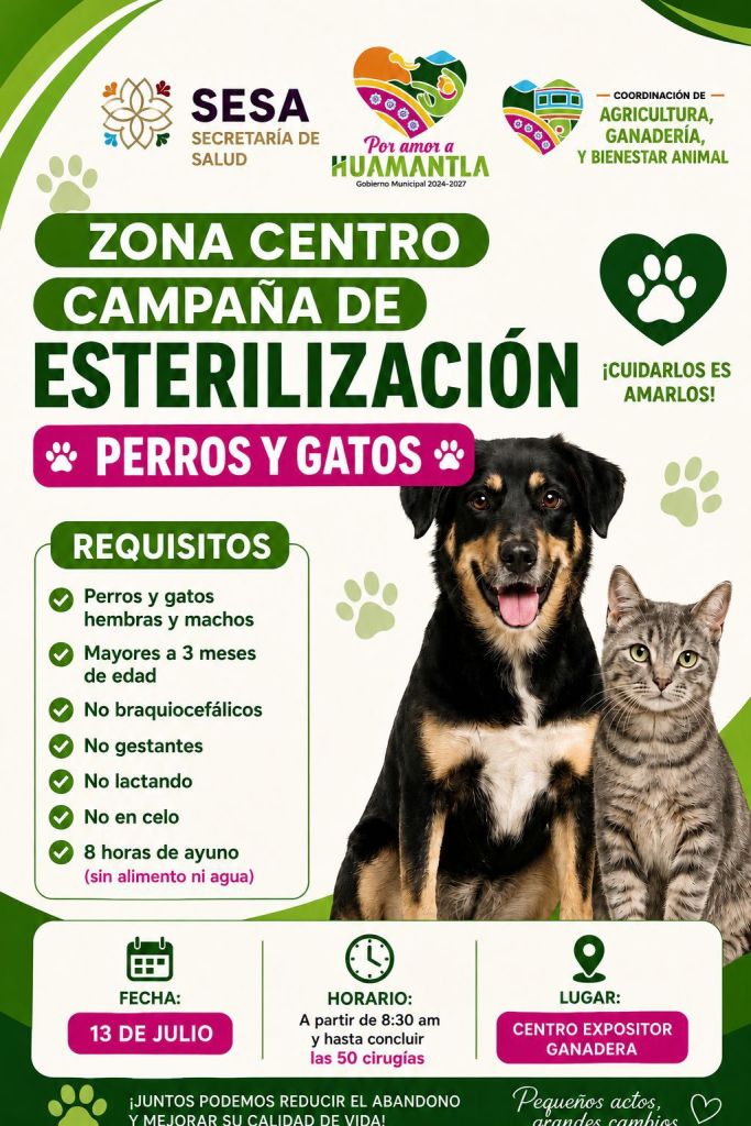 GOBIERNO DE HUAMANTLA INVITA A LA CAMPAÑA DE ESTERILIZACIÓN DE PERROS Y GATOS Y PROMUEVE LA TENENCIA RESPONSABLE DE ANIMALES DE&nbsp;COMPAÑÍA