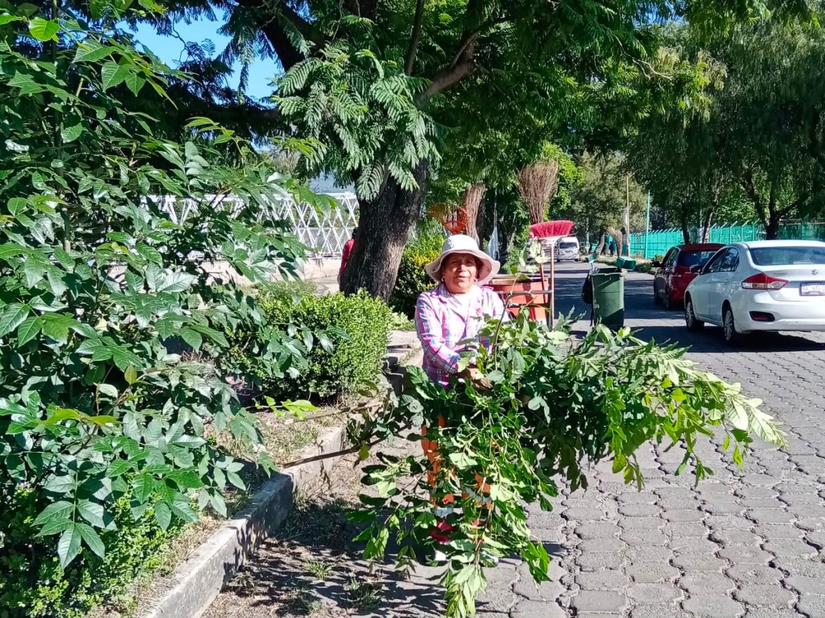 MÁS TERRITORIO LLEGÓ A COLONIA ADOLFO LÓPEZ MATEOS EN&nbsp;TLAXCALA