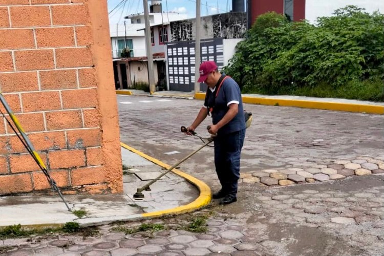 RESULTADOS SE CONSTRUYEN EN EQUIPO EN&nbsp;TLAXCALA