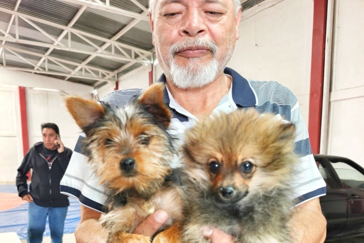 AYUNTAMIENTO DE TLAXCALA LLAMA A CONTINUAR CON EL FORTALECIMIENTO DEL CUIDADO DE LAS&nbsp;MASCOTAS