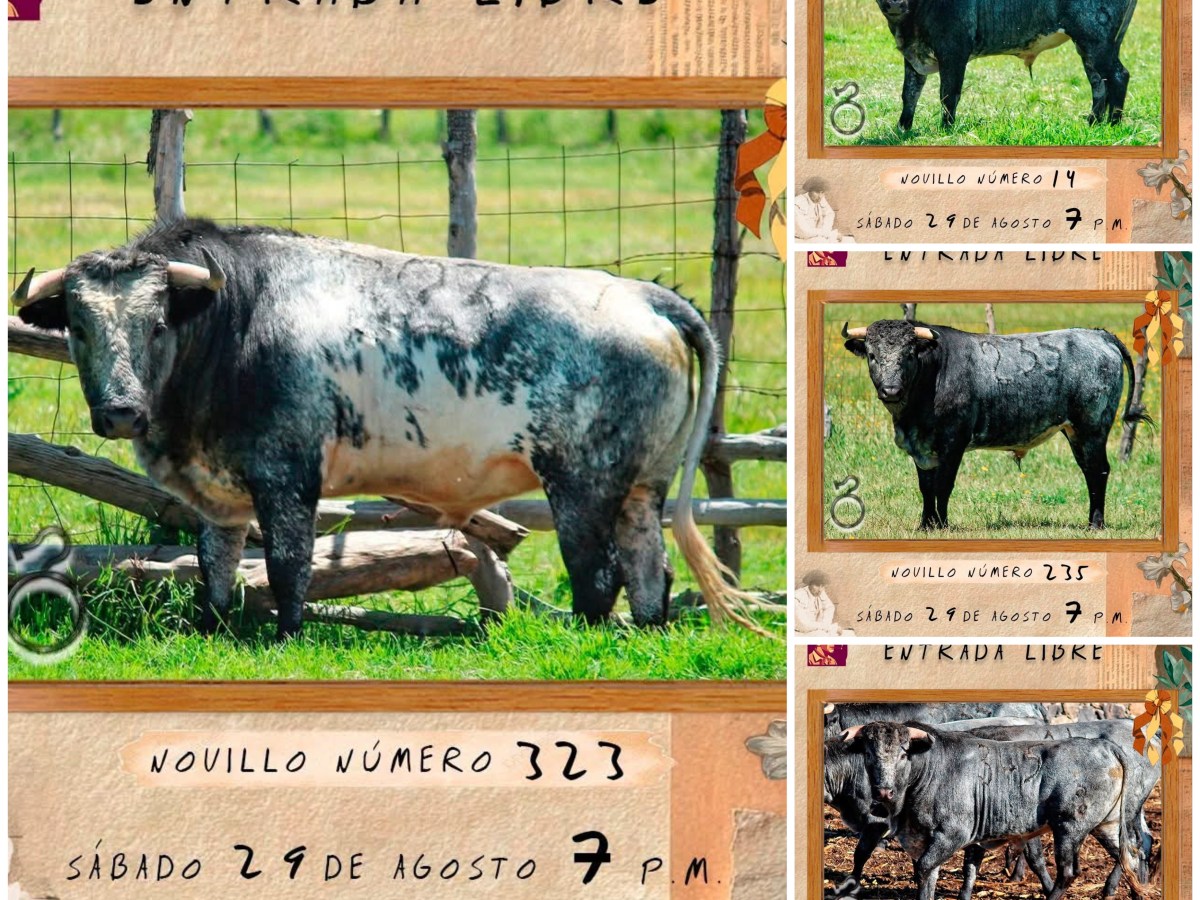 🐂 YA ESTÁN AQUÍ LOS PRIMEROS PROTAGONISTAS DE LA COPA PANA&nbsp;🏆